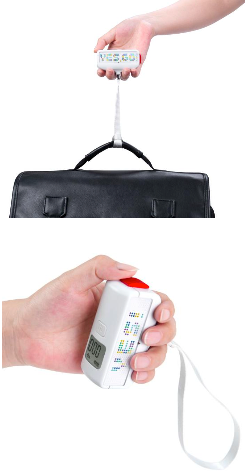 Pocket SCALE
