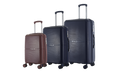 Singapore PP Luggage