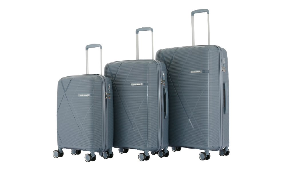Bern PP Luggage