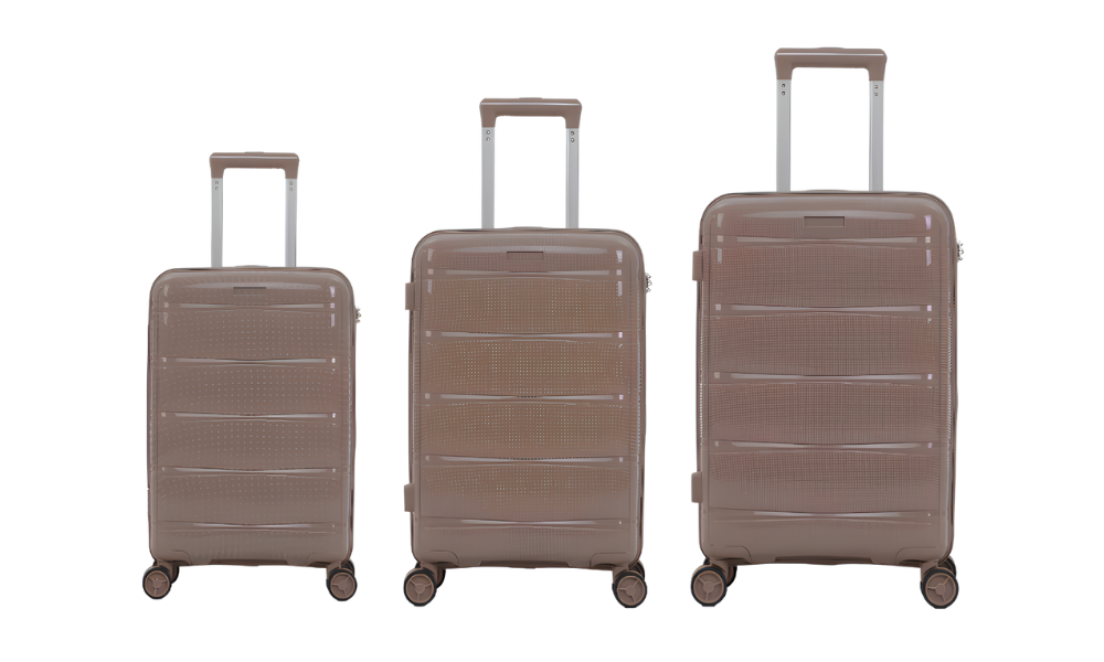 Zurich PP Luggage